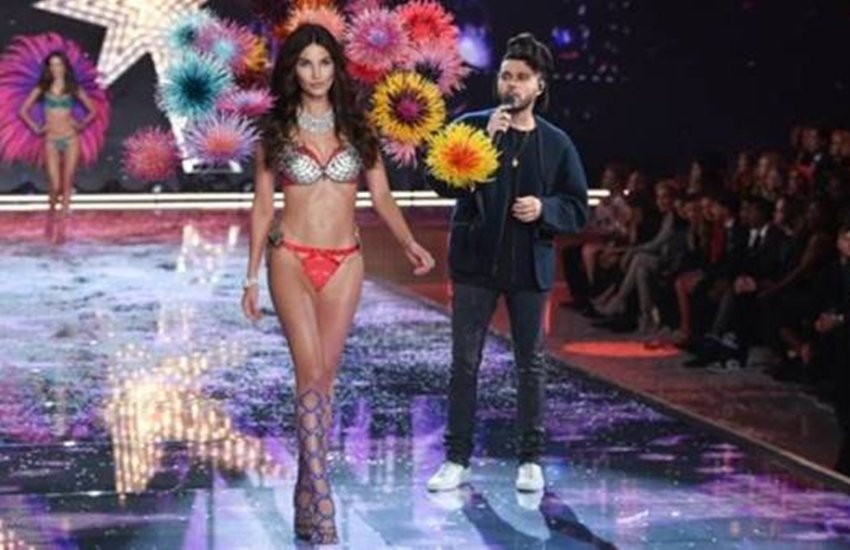 लिली एल्ड्रिज भी अमेरिका की रहने वाली हैं और वह मॉडलिंग करती हैं। 2015 में उन्होंने द फायरवर्क्स फैंटसी ब्रा पहनी थी, जिसकी कीमत दो मिलियन डॉलर (तरीकबन 13 करोड़ रुपए) है।