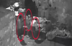 जोधपुर: घर के बाहर सो रही महिला के साथ गैंगरेप, वारदात सीसीटीवी में कैद