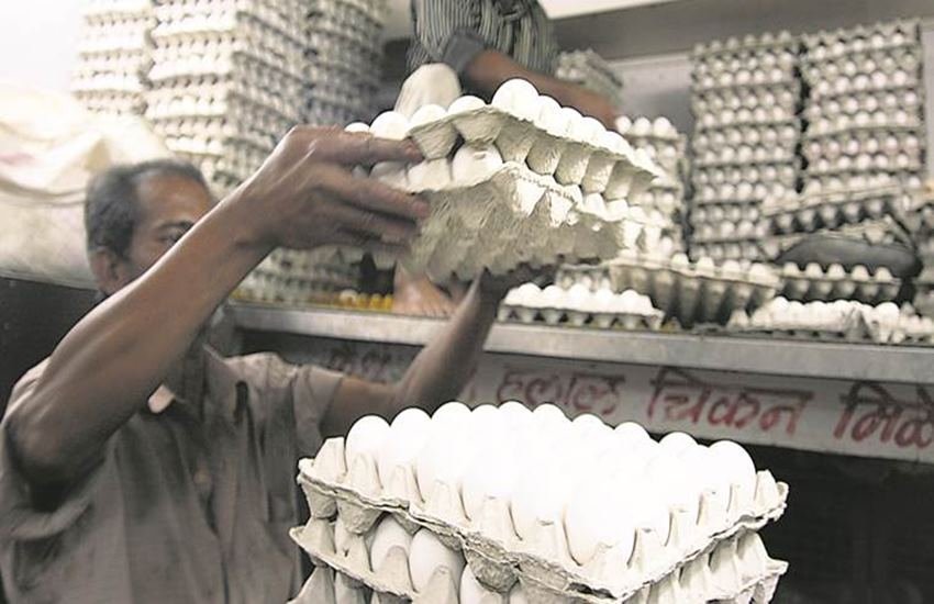Egg Price, Egg Prices, Egg Price in India, Egg Price Today in India, Egg Price Today, Egg Price Today India, Egg Price India, Egg Prices India, Egg Price in Uttar Pradesh, Egg Price in Delhi, Egg Price in Chennai, HINDI NEWS, Jansatta