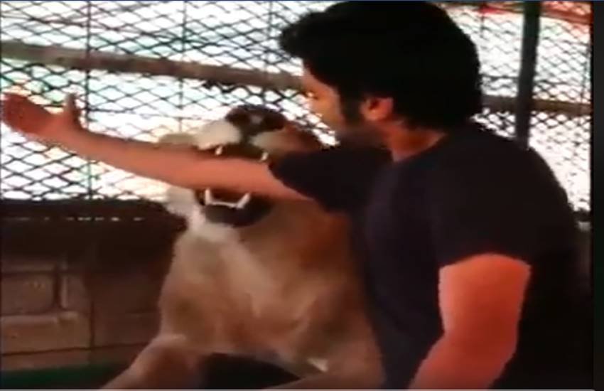 funniest photos on social media, social media funniest photos, Social Media funny photos, Social Media funniest photos, funniest photos on Social Media, funniest photos social media pictures, funny pictures viral on social media, funny picture,funny photos on social media, funniest social media posts, funny social media es viral on Facebook, funny pictures viral on twitter, funny pictures viral on Instagram, funny pictures viral on you tube, you tube funny videos, funniest photos ever, funniest photos ever on social media,funniest photos ever in the world, funny lion photos, funny lion playing with man photos, tiger & man photos, Lion playing with boys photos, Pet lion photos, Pet tiger & cubs photos, tiger playing with human photos, latest news,latest funny news, latest updates"