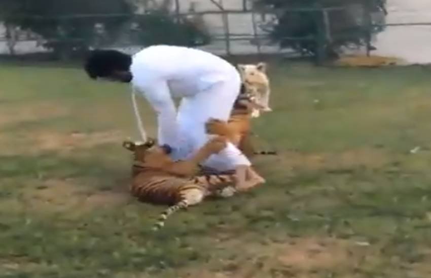 funniest photos on social media, social media funniest photos, Social Media funny photos, Social Media funniest photos, funniest photos on Social Media, funniest photos social media pictures, funny pictures viral on social media, funny picture,funny photos on social media, funniest social media posts, funny social media es viral on Facebook, funny pictures viral on twitter, funny pictures viral on Instagram, funny pictures viral on you tube, you tube funny videos, funniest photos ever, funniest photos ever on social media,funniest photos ever in the world, funny lion photos, funny lion playing with man photos, tiger & man photos, Lion playing with boys photos, Pet lion photos, Pet tiger & cubs photos, tiger playing with human photos, latest news,latest funny news, latest updates"