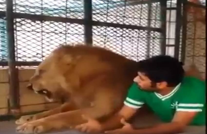 funniest photos on social media, social media funniest photos, Social Media funny photos, Social Media funniest photos, funniest photos on Social Media, funniest photos social media pictures, funny pictures viral on social media, funny picture,funny photos on social media, funniest social media posts, funny social media es viral on Facebook, funny pictures viral on twitter, funny pictures viral on Instagram, funny pictures viral on you tube, you tube funny videos, funniest photos ever, funniest photos ever on social media,funniest photos ever in the world, funny lion photos, funny lion playing with man photos, tiger & man photos, Lion playing with boys photos, Pet lion photos, Pet tiger & cubs photos, tiger playing with human photos, latest news,latest funny news, latest updates"