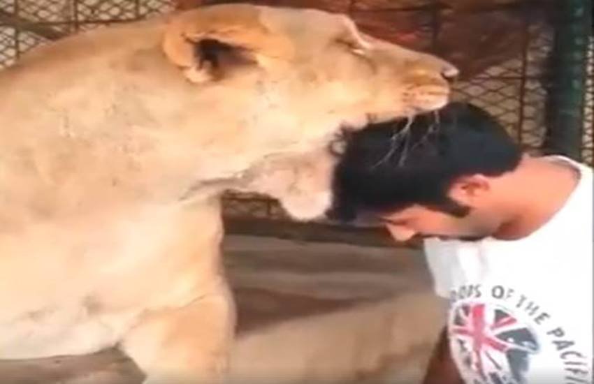 सिर चाहे जितना बडा हो पर शेर के जबड़े से नहीं बड़ा हो सकता