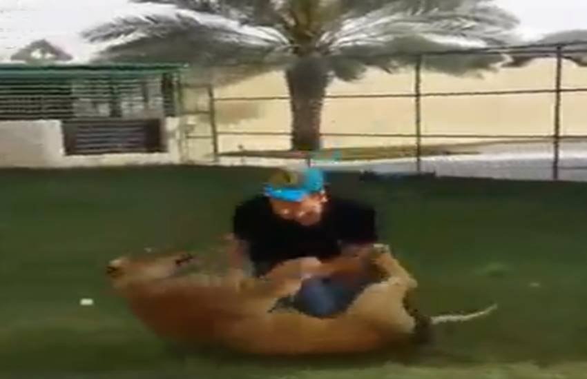 funniest photos on social media, social media funniest photos, Social Media funny photos, Social Media funniest photos, funniest photos on Social Media, funniest photos social media pictures, funny pictures viral on social media, funny picture,funny photos on social media, funniest social media posts, funny social media es viral on Facebook, funny pictures viral on twitter, funny pictures viral on Instagram, funny pictures viral on you tube, you tube funny videos, funniest photos ever, funniest photos ever on social media,funniest photos ever in the world, funny lion photos, funny lion playing with man photos, tiger & man photos, Lion playing with boys photos, Pet lion photos, Pet tiger & cubs photos, tiger playing with human photos, latest news,latest funny news, latest updates"