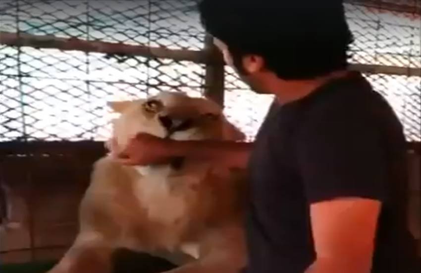 funniest photos on social media, social media funniest photos, Social Media funny photos, Social Media funniest photos, funniest photos on Social Media, funniest photos social media pictures, funny pictures viral on social media, funny picture,funny photos on social media, funniest social media posts, funny social media es viral on Facebook, funny pictures viral on twitter, funny pictures viral on Instagram, funny pictures viral on you tube, you tube funny videos, funniest photos ever, funniest photos ever on social media,funniest photos ever in the world, funny lion photos, funny lion playing with man photos, tiger & man photos, Lion playing with boys photos, Pet lion photos, Pet tiger & cubs photos, tiger playing with human photos, latest news,latest funny news, latest updates"