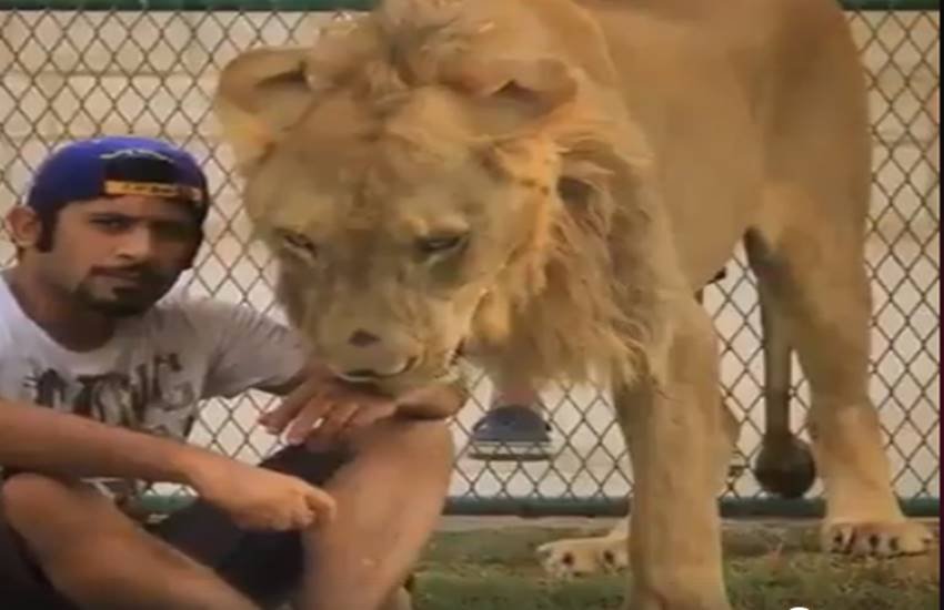 funniest photos on social media, social media funniest photos, Social Media funny photos, Social Media funniest photos, funniest photos on Social Media, funniest photos social media pictures, funny pictures viral on social media, funny picture,funny photos on social media, funniest social media posts, funny social media es viral on Facebook, funny pictures viral on twitter, funny pictures viral on Instagram, funny pictures viral on you tube, you tube funny videos, funniest photos ever, funniest photos ever on social media,funniest photos ever in the world, funny lion photos, funny lion playing with man photos, tiger & man photos, Lion playing with boys photos, Pet lion photos, Pet tiger & cubs photos, tiger playing with human photos, latest news,latest funny news, latest updates"