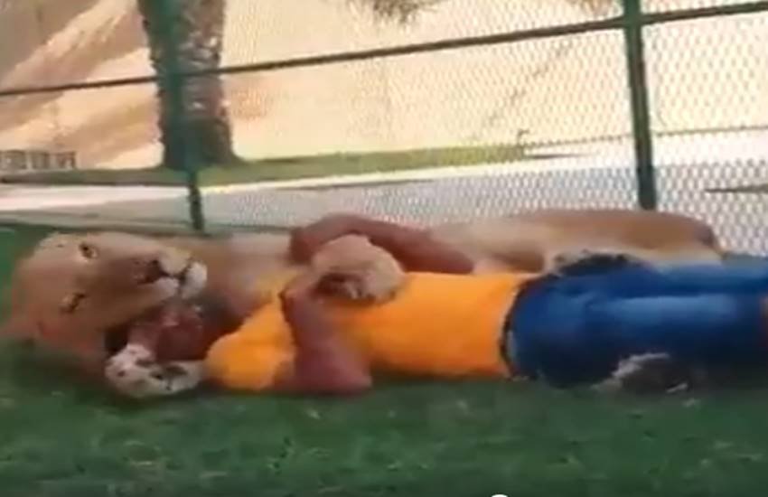 funniest photos on social media, social media funniest photos, Social Media funny photos, Social Media funniest photos, funniest photos on Social Media, funniest photos social media pictures, funny pictures viral on social media, funny picture,funny photos on social media, funniest social media posts, funny social media es viral on Facebook, funny pictures viral on twitter, funny pictures viral on Instagram, funny pictures viral on you tube, you tube funny videos, funniest photos ever, funniest photos ever on social media,funniest photos ever in the world, funny lion photos, funny lion playing with man photos, tiger & man photos, Lion playing with boys photos, Pet lion photos, Pet tiger & cubs photos, tiger playing with human photos, latest news,latest funny news, latest updates"