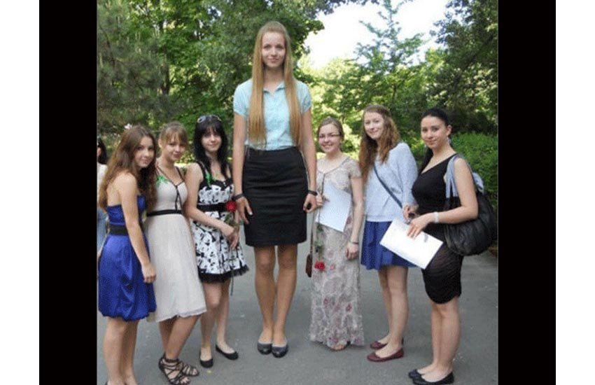 funniest photos on social media, social media funniest photos, Social Media funny photos, Social Media funniest photos, funniest photos on Social Media, funniest photos social media pictures, funny pictures viral on social media, funny picturfunny photos on social media, funniest social media posts, funny social media es viral on Facebook, funny pictures viral on twitter, funny pictures viral on instagram, funny pictures viral on youtube, youtube funny videos, funniest photos ever, funniest photos ever on social media,funniest photos ever in the world, funny tallest people photos,funny tallest girls photos, tallest ladies photos,funny tallest people picturs,funny photo of taller peoples love, photos of imbalance love latest photos,latest updates, latest news