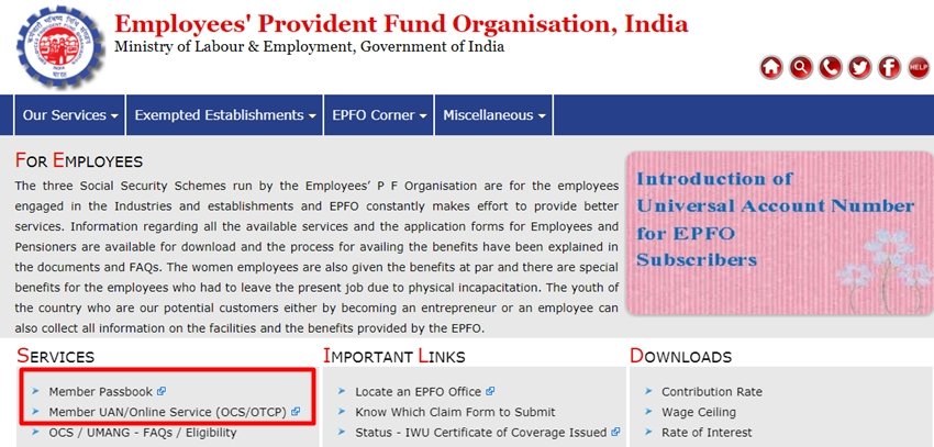 पोर्टल के होम पेज पर 'ऑनलाइन सर्विसेज' पर क्लिक करें। फिर नीचे मेंबर्स पासबुक में जाकर ट्रांसफर रिक्वेस्ट का विकल्प चुनें। यहां आप खाते से जुड़ी जानकारियां देख सकेंगे, जिनमें ईपीएफ संख्या, यूएएन, जन्मतिथि, कंपनी में ज्वॉइनिंग की तारीख आदि का जिक्र होगा। जानकारियां को चेक करें, वरना आपके क्लेम की प्रक्रिया आगे नहीं बढ़ेगी।