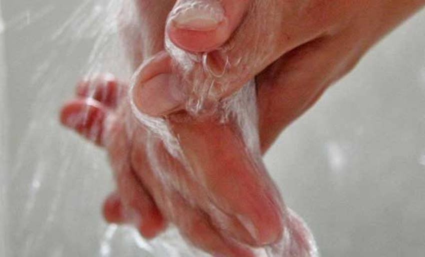 जल्दी से वाशरूम भागना - बहुत से कपल्स की आदत होती है कि शारीरिक संबंध बनाने के बाद वे तुरंत साफ-सफाई के लिए वाशरूम की ओर भागते हैं। विशेषज्ञों के मुताबिक ऐसा करना सही नहीं होता। संबंध बनाने के बाद के कुछ क्षण आपके और आपके पार्टनर के लिए काफी महत्वपूर्ण होते हैं। आपको इन क्षणों को एंजॉय करना चाहिए।