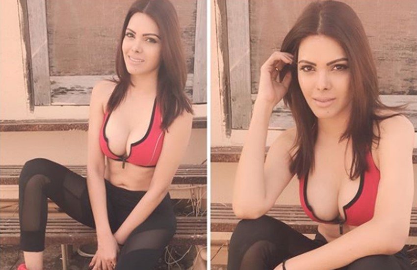Sherlyn Chopra, model Sherlyn Chopra, actress Sherlyn Chopra, glamorous sherlyn chopra, playboy girl Sherlyn Chopra, lingerie photo shoot , hot sherlyn chopra, sherlyn chopra in bikini, sherlyn chopra lingerie