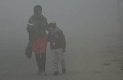 अमेरिका के लिए कचरे का डब्बा बना भारत, लाखों टन खतरनाक पेट्रोकोक कर रहा निर्यात