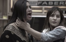 Bigg Boss, Bigg Boss 11, Arshi Khan, Arshi Khan Interview, Arshi Khan about Vikas Gupta, Arshi Khan about Hina Khan, Arshi Khan on Hina, Arshi Khan on Shilpa Shinde