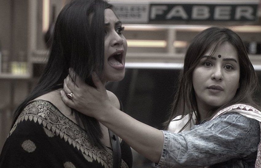 Bigg Boss, Bigg Boss 11, Arshi Khan, Arshi Khan Interview, Arshi Khan about Vikas Gupta, Arshi Khan about Hina Khan, Arshi Khan on Hina, Arshi Khan on Shilpa Shinde