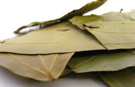 bay leaves, bay leaves in hindi, bay leaves uses, bay leaves benefits in hindi, bay leaves benefits skin, bay leaves spiritual benefits, dried bay leaves benefits, headache, headache home remedies, joint pain relief, joint pain medicine, joint pain home remedies, bay leaves oil, how to make bay leaves oil, health news in hindi, jansatta