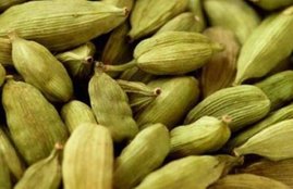 cardamom, cardamom side effects, cardamom side effects in hindi, cardamom uses in hindi, ilaichi, cardamom in hindi, disadvantages of cardamom, harms of cardamom in hindi, cardamom benefits, cardamom biological source, cardamom nutrition, cardamom nutritional facts, cardamom negative effects, health news in hindi, jansatta