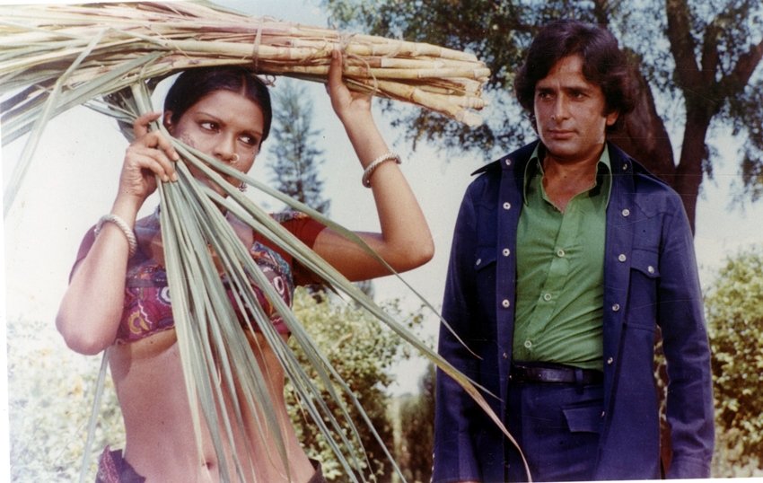 zeenat aman, zeenat aman birthday, zeenat aman photos, zeenat aman unknown facts, zeenat aman interesting facts, zeenat aman hot photos, zeenat aman date of birth, happy birthday zeenat aman, zeenat aman news, zeenat aman news in hindi, birthday zeenat aman, zeenat aman films, zeenat aman movies, jansatta