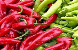 Chilli, Chilli facts, Chilli and zodiac, Chilli and religion, Red Green and Black Chilli, Red Green and Black Chilli zodiac, Red Green and Black Chilli horoscope, Red Green and Black Chilli facts, Red Green and Black Chilli in worship, Religion news