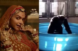 Deepika Padukone VIDEO SONG, Deepika Padukone Having Tough competition, Deepika Padukone with GORILLA, Deepika Padukone in Padmavati, Ghoomar song Of Deepika Padukone, Deepika Padukone VIDEO SONG, Deepika Padukone Having Tough competition, Deepika Padukone with GORILLA, Deepika Padukone in Padmavati, Ghoomar song Of Deepika Padukone, bollywood news, television news, bollywood news in hindi, television news in hindi