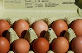 eggs, how to store eggs long term, egg storage, egg store, egg storage,egg storage temperature, how to store eggs in hindi, how to never store eggs, eggs in fridge, eggs in freezer, eggs in fridge how long, eggs stored in refrigerator, health news in hindi, jansatta