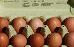 फ्रिज में दरवाजे के पास रख रहे हैं अंडे, कभी न करें यह गलती