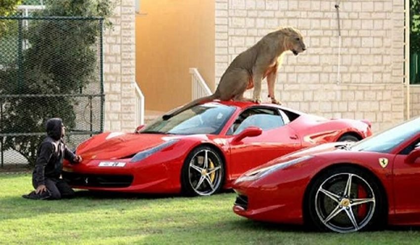 इसके पास भी बहुत पैसा है