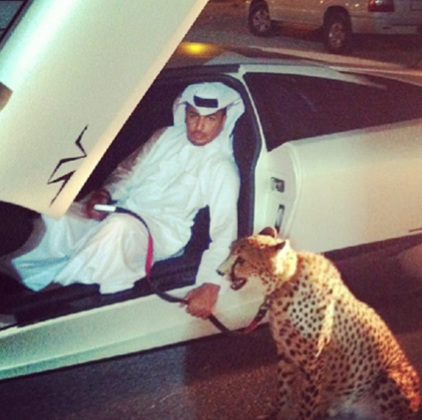 अमीरों के चोंचले...