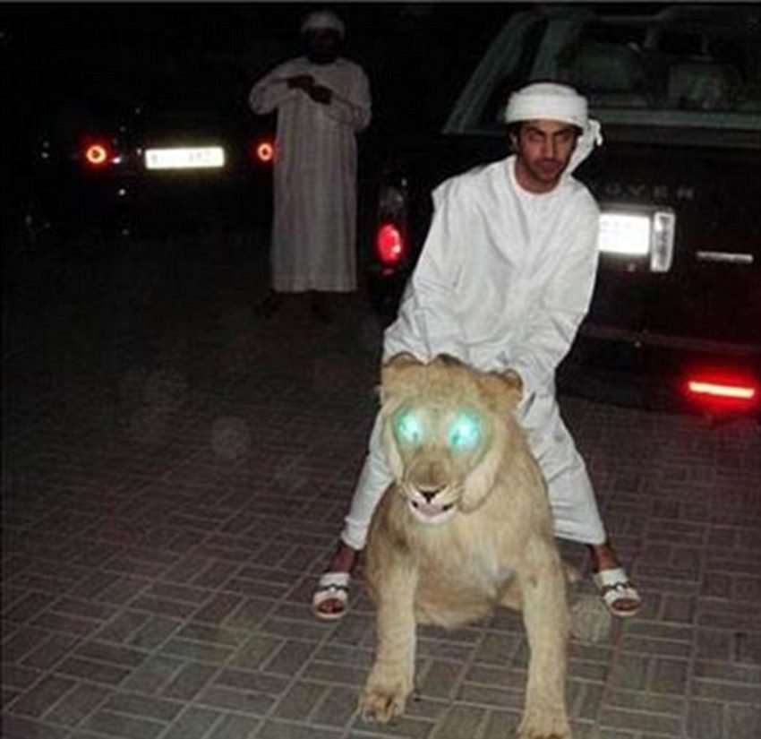 शेर की सवारी...