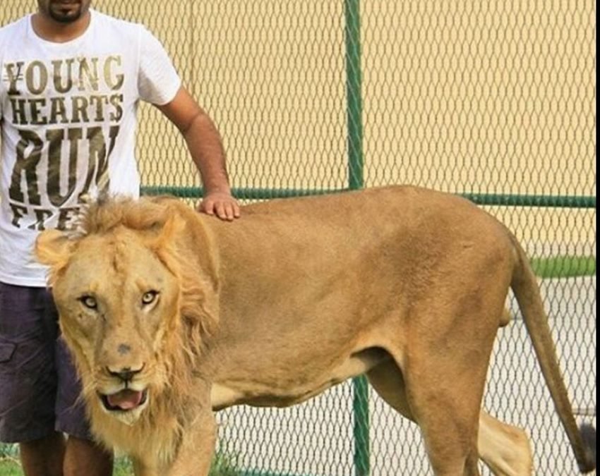 बढ़िया है...