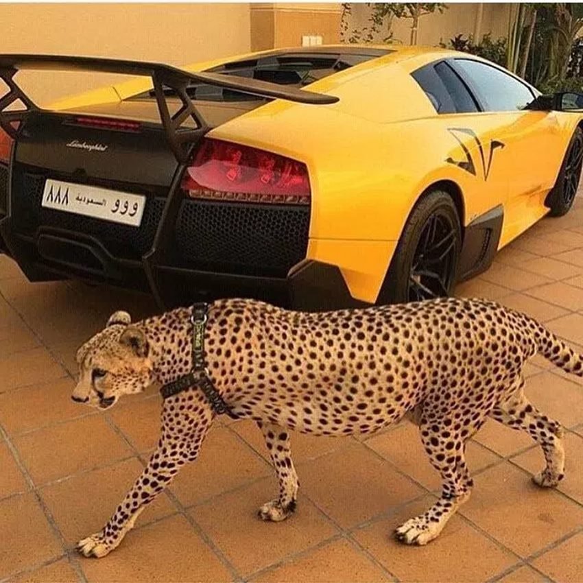 बहुत खूब...