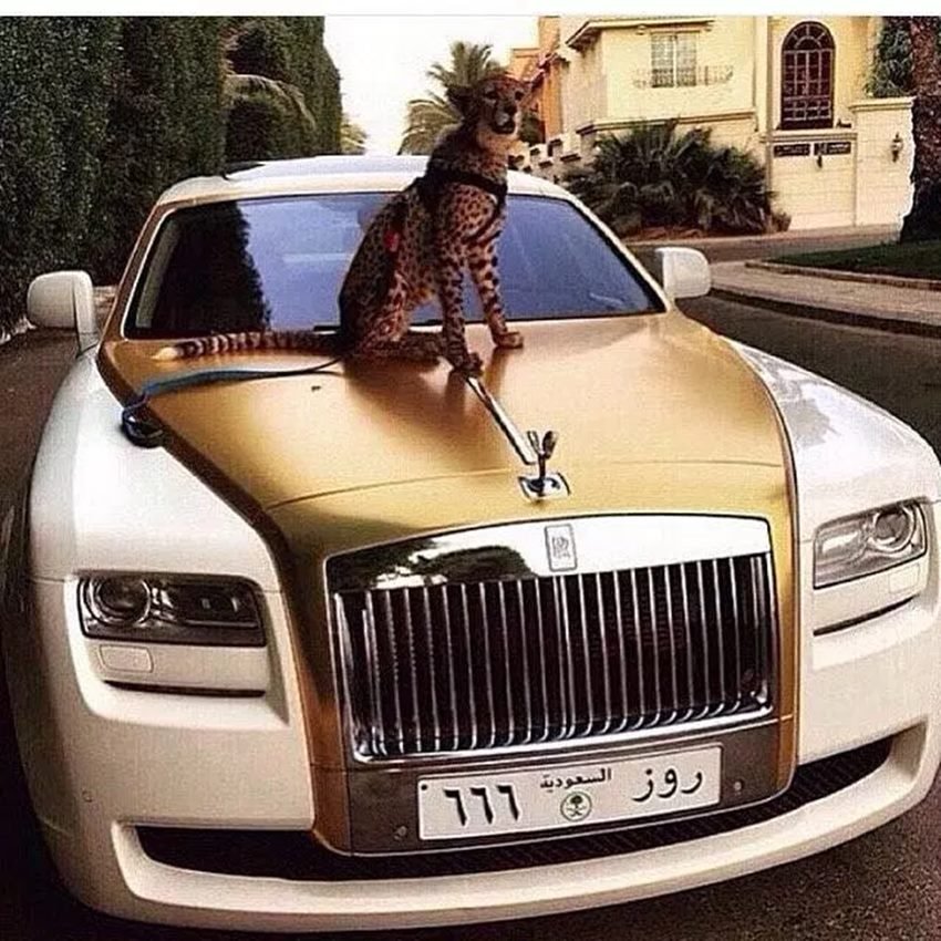 गाड़ी कभी गलत जगह पार्क कर भी दी तो कोई दिक्कत नहीं होगी।