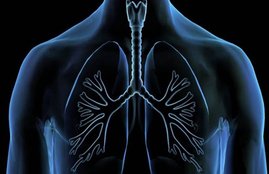 lungs, lungs function, lungs function in hindi, lungs facts, lungs problem, lungs problem in hindi, lungs pain, lungs diseases, lung disease symptoms, lung disease symptoms in hindi, how do you know if you have lung problems, signs of lung problems, signs of lung problems in hindi, respiratory system diseases, respiratory diseases, tuberculosis, health news in hindi, jansatta