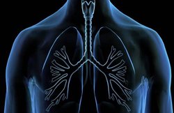 फेफड़ों के खराब होने का संकेत हो सकते हैं ये 5 लक्षण