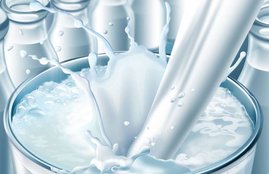 cow's milk, cow's milk benefits, cow's milk benefits in hindi, desi cow milk benefits in hindi, cow milk benefits babies in hindi, cow milk benefits for adults, health benefits of cow milk, cow milk nutrition, cow milk nutrition in hindi, cow milk nutrition facts, cow milk for cancer treatment, cow milk for weight loss, cow milk for brain, cow's milk for eye infection, cow milk for eyes, health news in hindi, jansatta