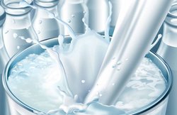 कैंसर और एचआईवी जैसे घातक रोगों से बचाता है गाय का दूध, जानें और फायदे