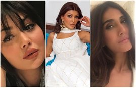Bollywood actress, Koena Mitra, Ayesha Takia, Anushka Sharma, minissha Lamba, Shilpa Shetty, Sridevi, Vaani Kapoor, Plastic Surgery, Bollywood Celebs, Bollywood Celebs Before and After Plastic Surgery, Entertainment, jansatta