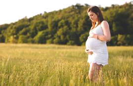 pregnancy diet, pregnancy diet menu, pregnancy diet in hindi, pregnancy diet plan, pregnancy diet plan in hindi, pregnancy diet chart, pregnancy diet for normal delivery, pregnancy diet for healthy baby, pregnant women diet, pregnant women diet in hindi, essential nutrients in pregnancy, essential diet in pregnancy, essential foods for pregnancy, pregnancy news in hindi, pregnancy tips in hindi,lifestyle news in hindi, jansatta