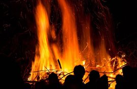 Engineering Student, Killed Mother, mother murder, mother murder by son, Burned the Body, Burned mother Body, Student Killed Mother, Engineering Student Burned the Body, Crime in kerala, crime news, state news