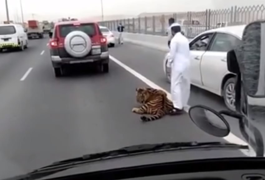 हमारी सड़कों पर नहीं देखने को मिलेगा ये सब...