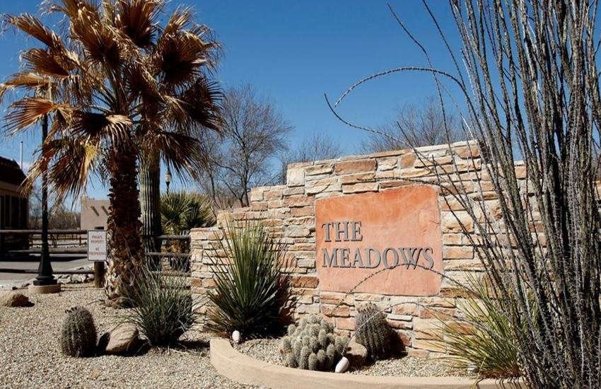 the meadows