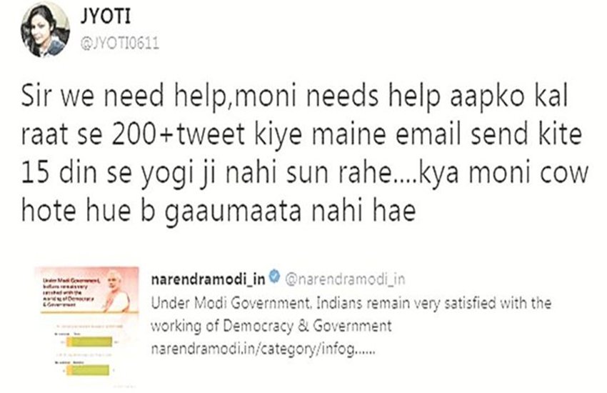 viral news