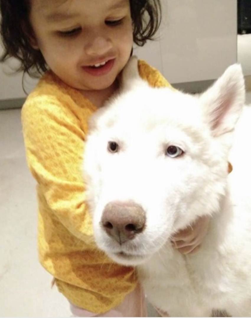 MS Dhoni's Daughter Ziva, Siva Looking Princes, Ziva cute photos, sakshi dhoni, Ms dhoni, captaion cool dhoni, dhoni daughter ziva, ziva latest photos, ziva photos