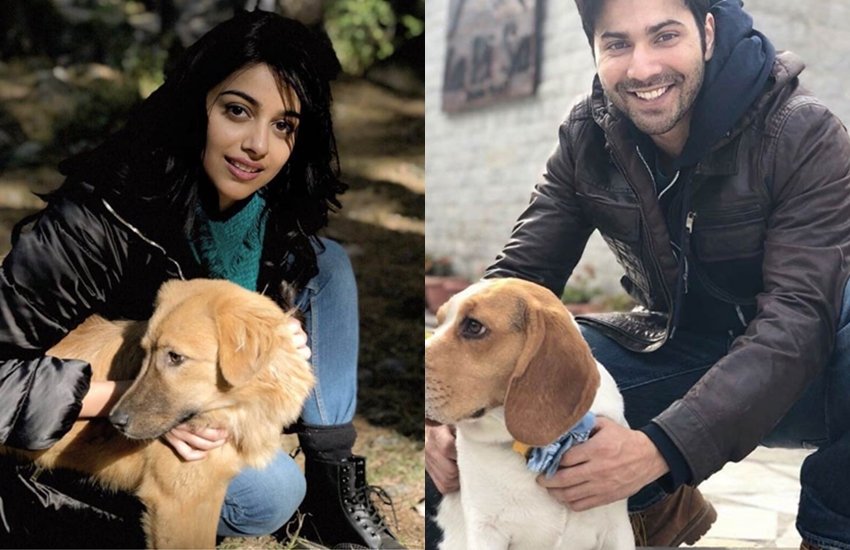 October, Judwaa 2 star, Judwaa 2 star Varun Dhawan, Varun Dhawan new picture, Varun Dhawan new picture came out, Varun Dhawan and newcomer Banita Sandhu, new picture of Banita Sandhu, Banita Sandhu, October Film Set in Manali, entertainment news, bollywood news, television news