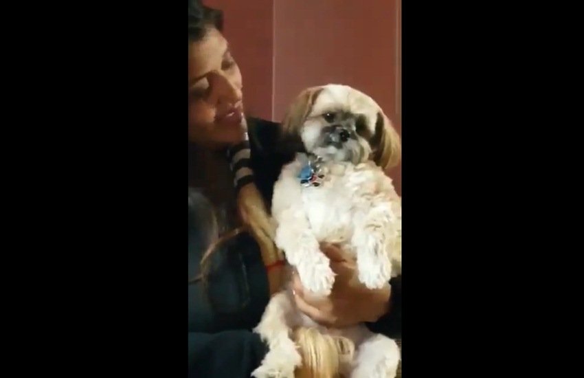 फोटो- स्क्रीनशॉट फोटो- स्क्रीनशॉट