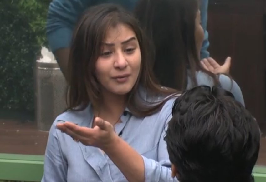 vikas gupta, shilpa shinde, vikas gupta, arshi khan, hina khan, bigg boss 11, bigg boss season 11, bigg boss 11 14th December 2017, bigg boss 1114th December 2017 episode, bigg boss 11 episode, bigg boss 11 episode full, bigg boss 11 bigg boss season 11 episode, bigg boss news, bigg boss 11 full episode, bigg boss 11 full episode