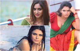 Actresses Caught in Sex Racket, TV Stars Caught in Sex Racket, Sex Indutry, Porn Industry, Sex Racket, Arshi Khan, Bhuvneshwari, Sherlyn Chopra, Hyderabad Sex Racket, Entertainment News