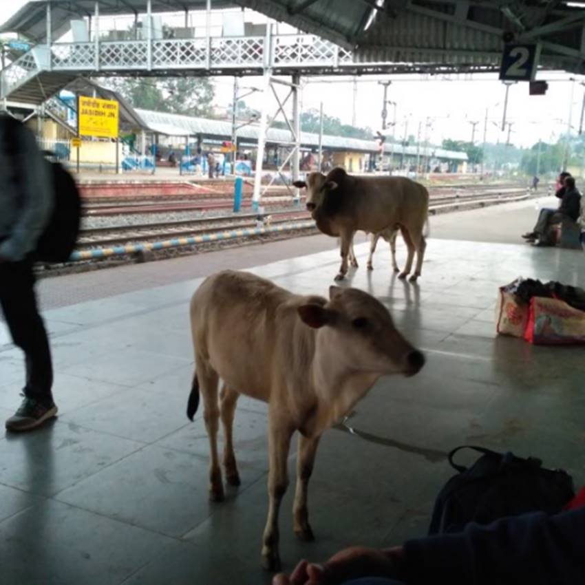 jasidih railway station