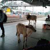 jasidih railway station