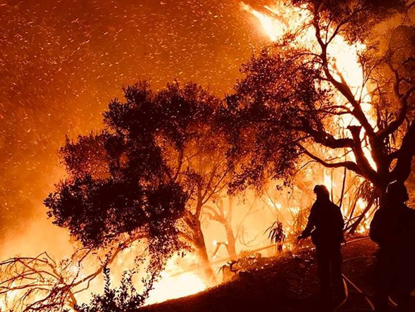 America, Forest Burning, Forest Burning in America, Forest Burning of History, Most Dangerous Forest Burning, America is Facing, Fifth Most Dangerous, california, california fire, Facing Fifth Most Dangerous Forest Burning, Photo Gallery