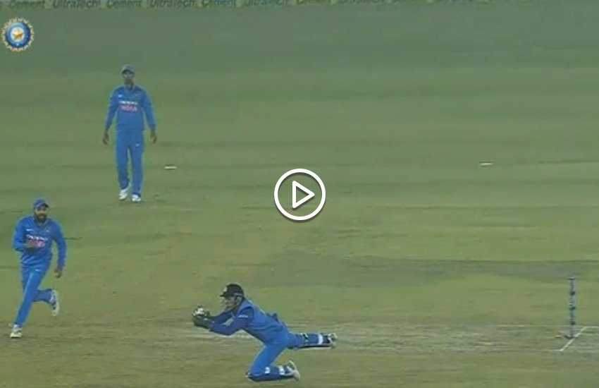 मैच के दौरान कैच लपकते महेंद्र सिंह धोनी।